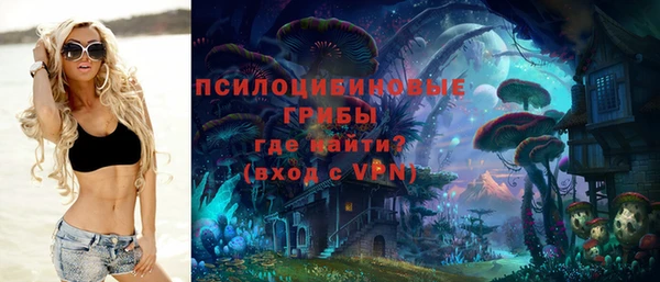 героин Тавда