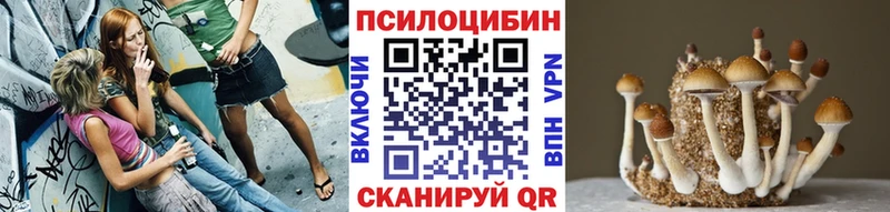 Галлюциногенные грибы мухоморы  даркнет формула  Медногорск  дарнет шоп 